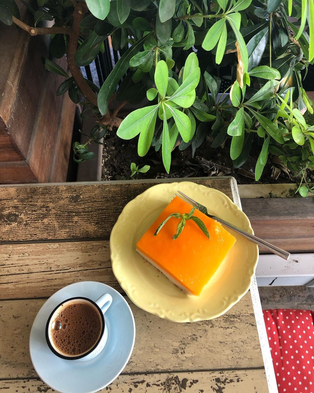 Enfes Şeyler Cafe & Bistro Fotoğrafları