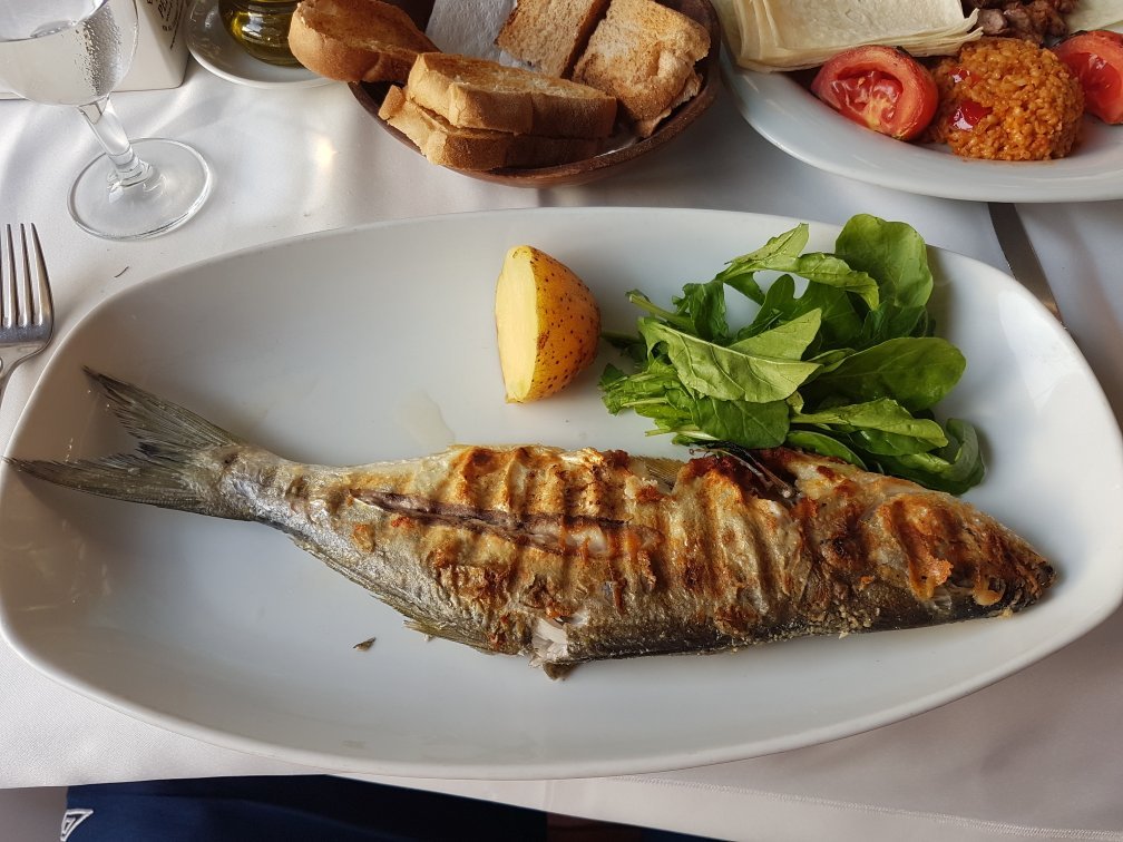 Fish House Fotoğrafları