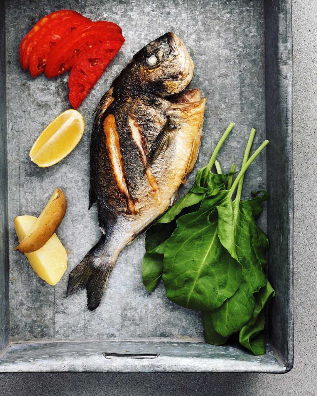 FISHI Fotoğrafları