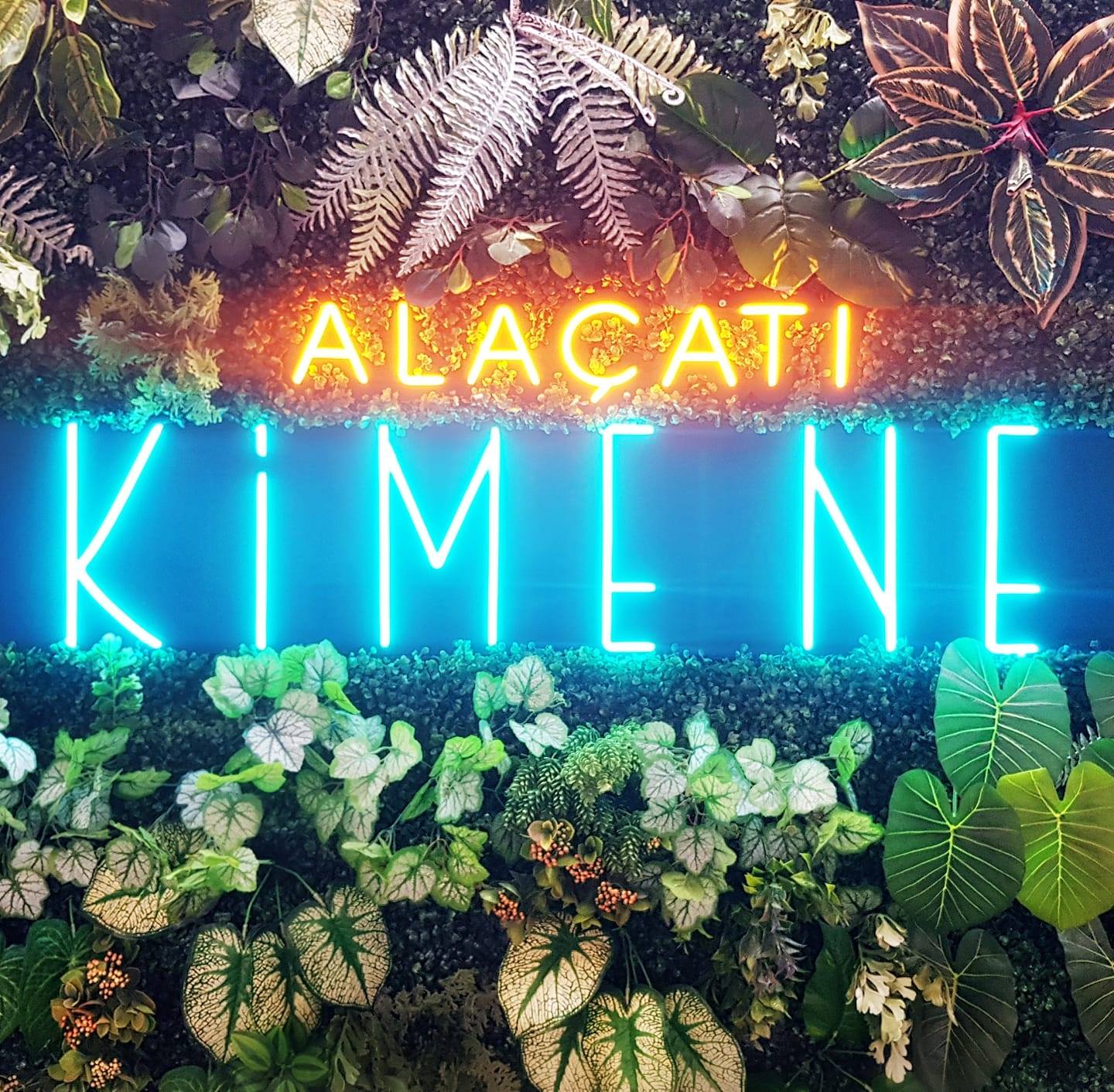 Kime Ne Alaçatı Fotoğrafları