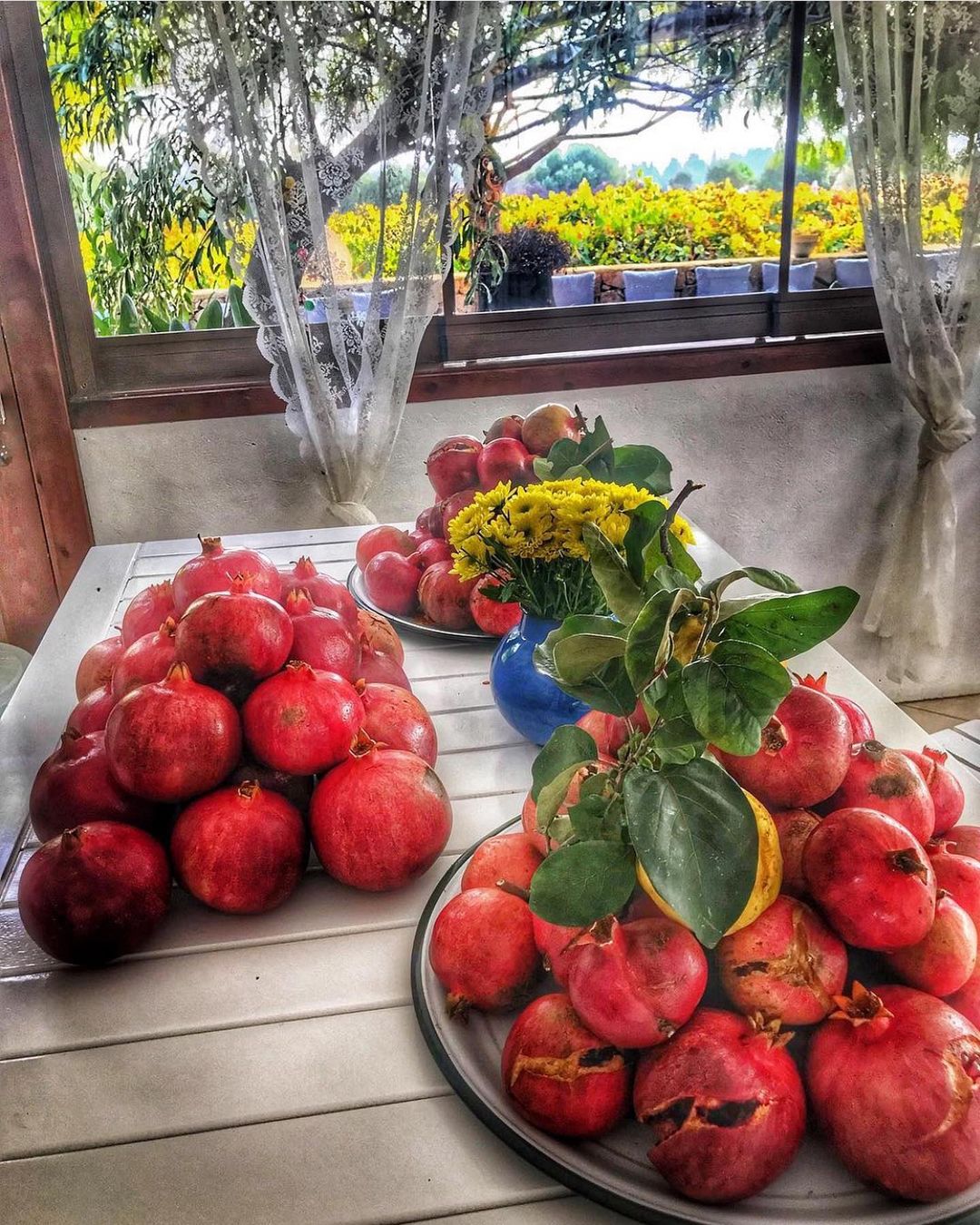 Noni's House Fotoğrafları