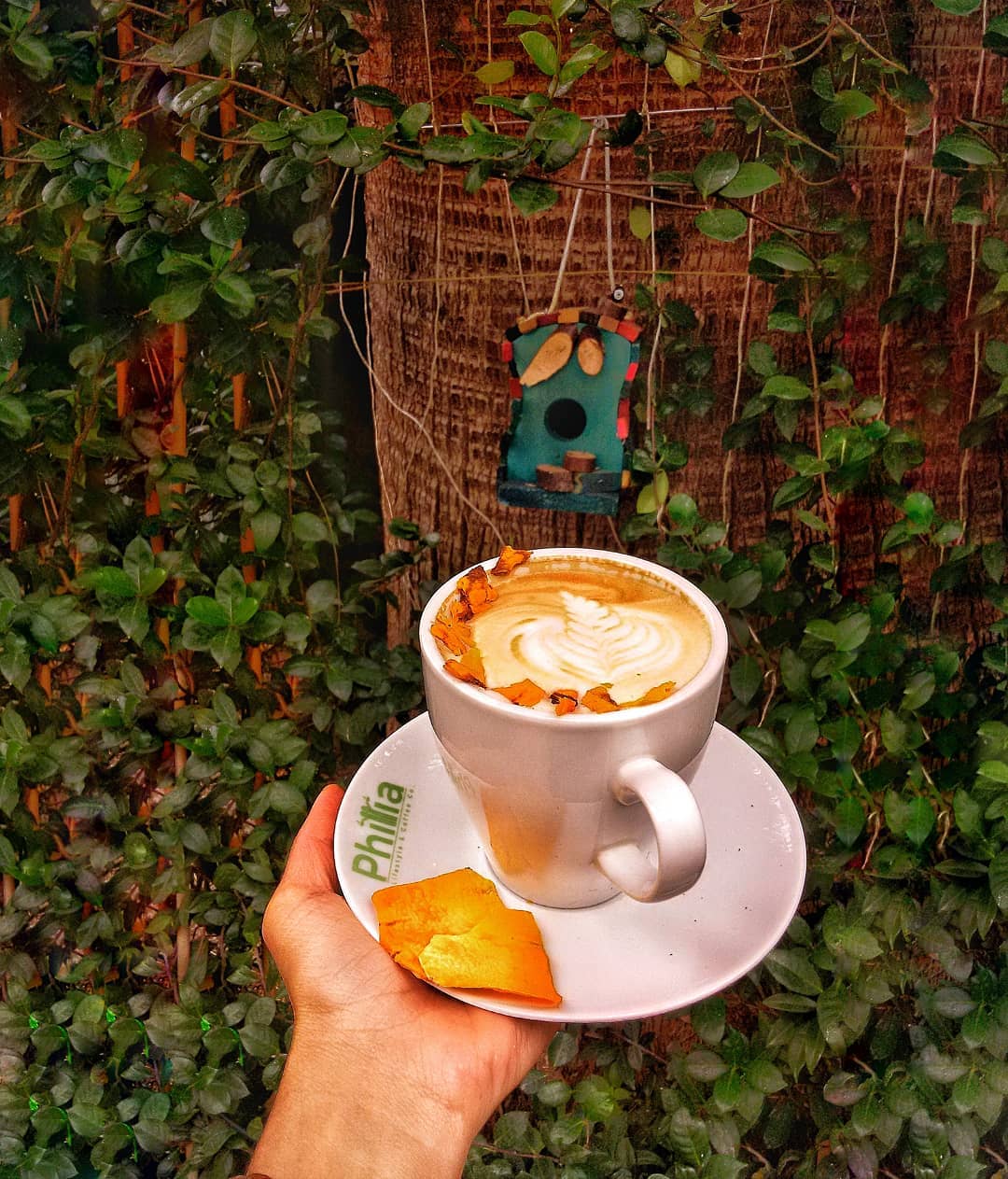 Philia Lifestyle & Coffee Co. Fotoğrafları
