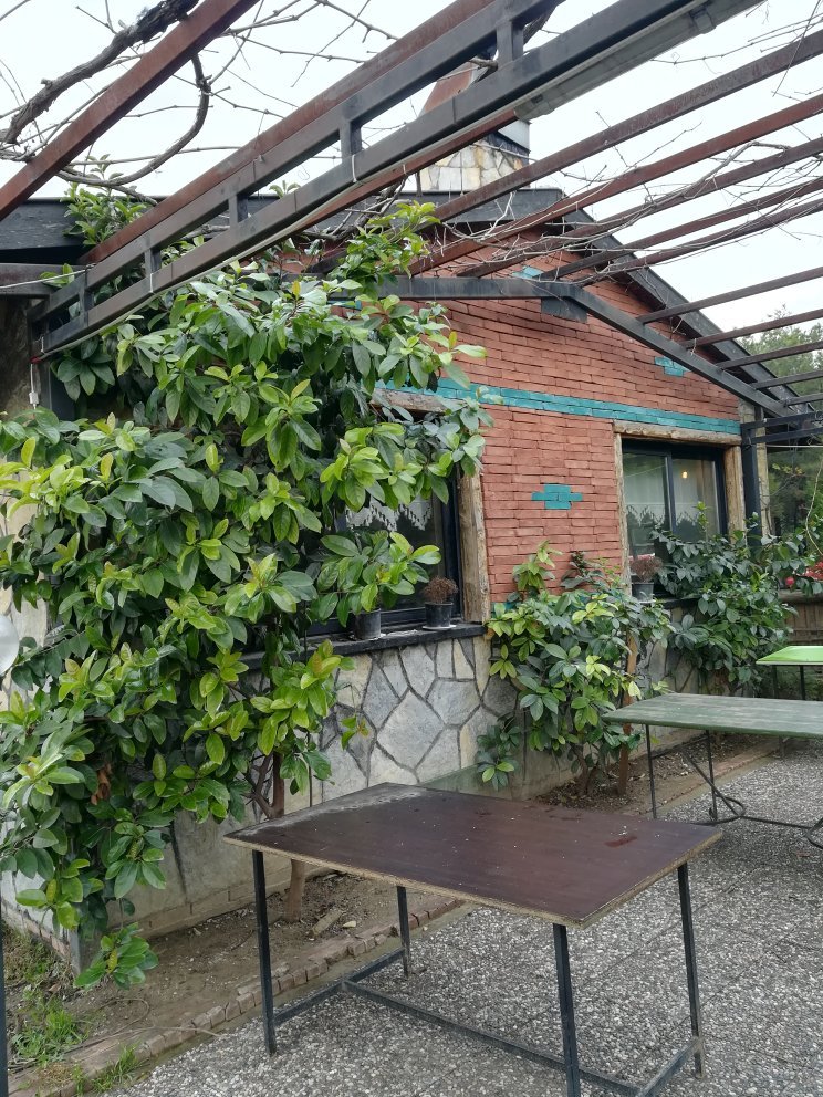 Pino Restaurant Fotoğrafları