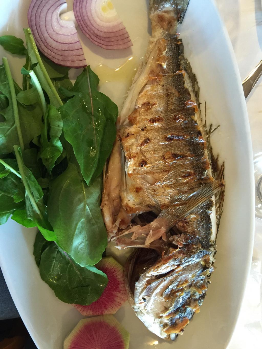 Sahil Restaurant Urla Fotoğrafları