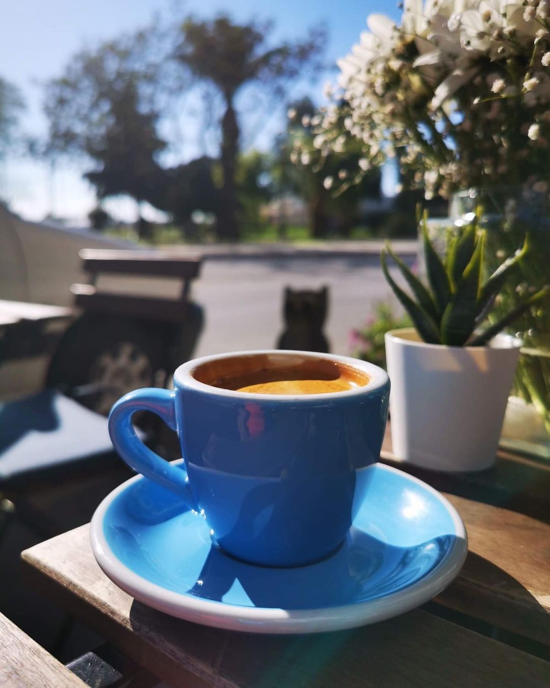 Uggla Coffee Fotoğrafları