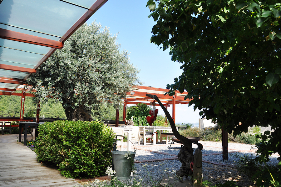 Uva Wine And Tasting Fotoğrafları