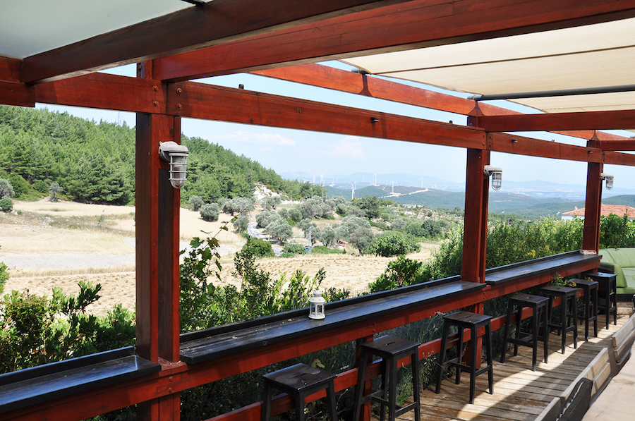 Uva Wine And Tasting Fotoğrafları