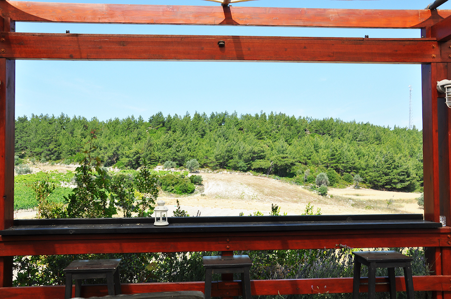 Uva Wine And Tasting Fotoğrafları