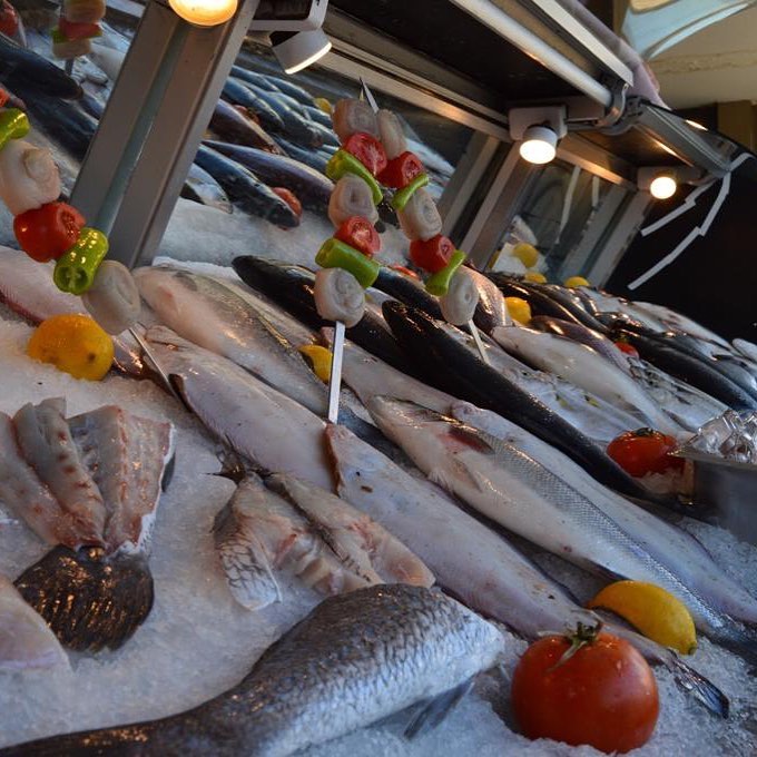 Yalı Balık Fotoğrafları