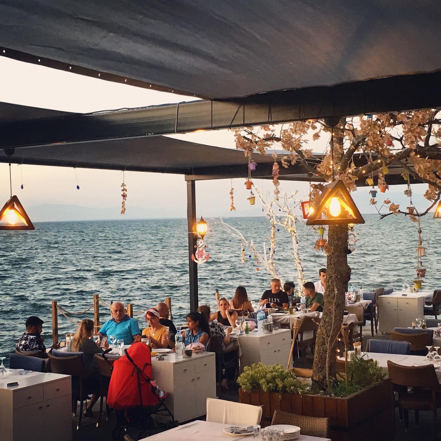 Yalı Balık Fotoğrafları