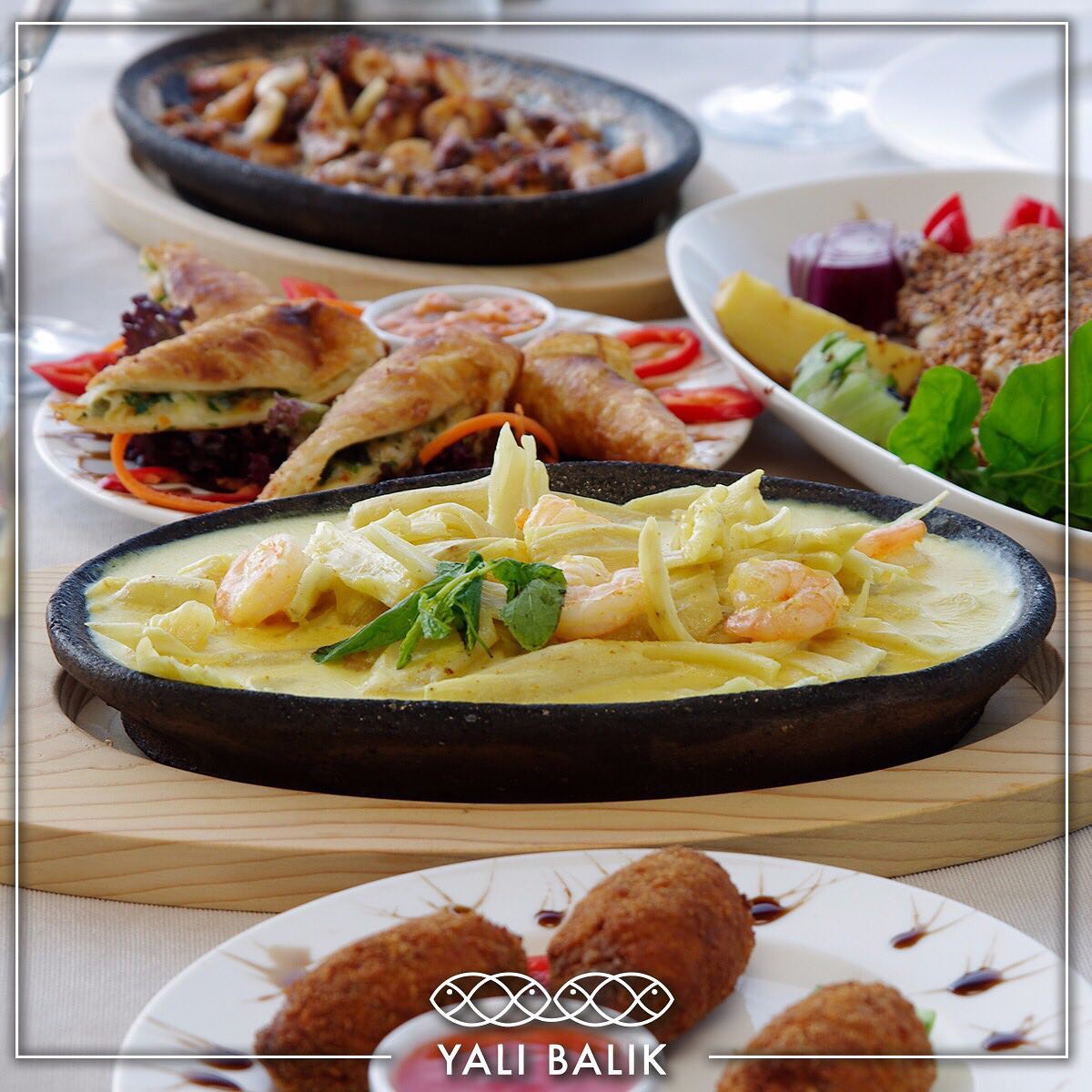 Yalı Balık Fotoğrafları