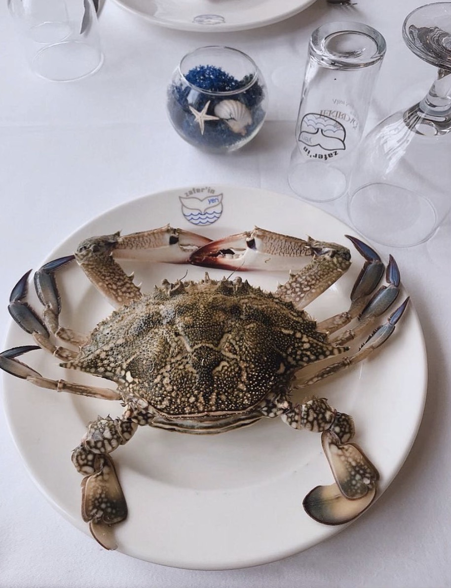 Zafer'in Yeri Restaurant Kordon Fotoğrafları